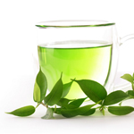 Green Tea Extract